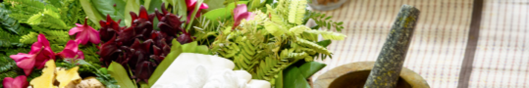 skin from an ayurvedic perspective